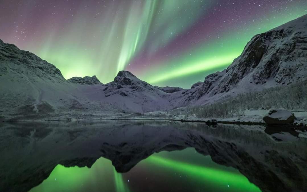 Mountain & Sea View Apartment Tromso